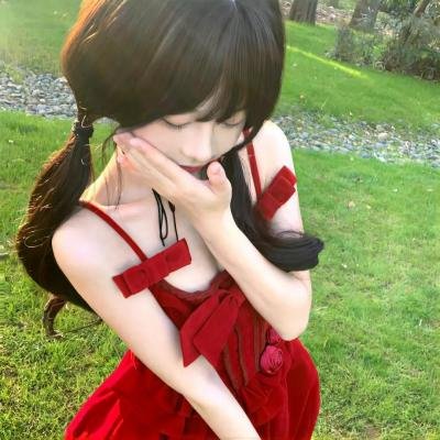 好家伙先生