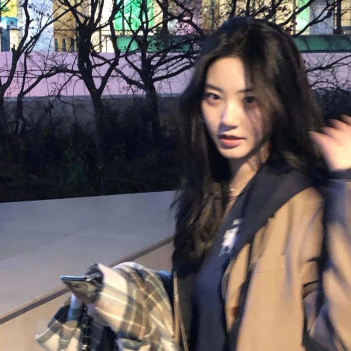 聪明的小母鸡